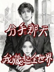 分手那天我藏起全世界